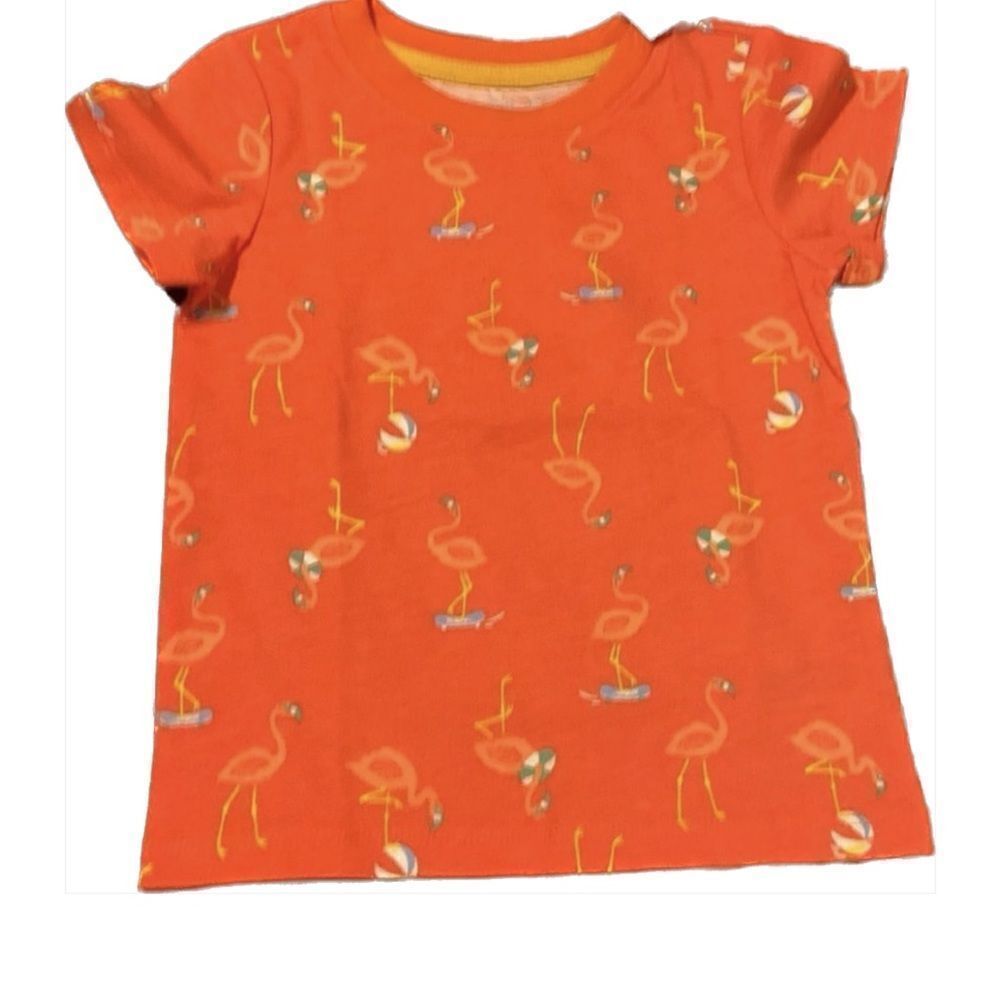 NWT 🦩🦩🦩flamingo shirt sleeve T-shirt size 18 months